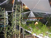 Eco Geodesic Greenhouse Dome